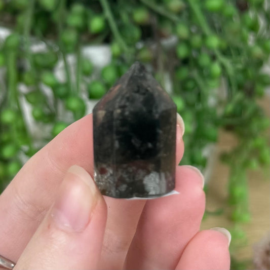 Garden Quartz Point (R428)