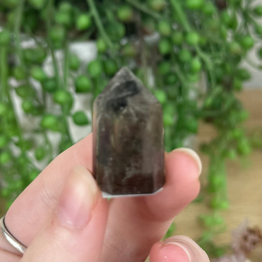 Garden Quartz Point (R425)