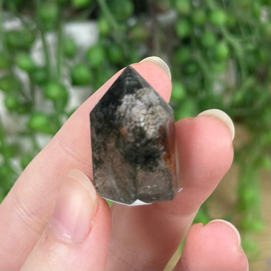 Garden Quartz Point (R423)