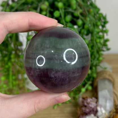 Candy Fluorite Sphere (N585)