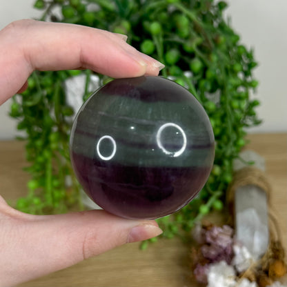 Candy Fluorite Sphere (N585)