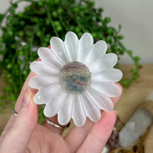 Selenite / Fluorite Daisy (R526)