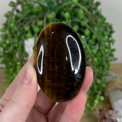 Tiger Eye Palm Stone (N499)