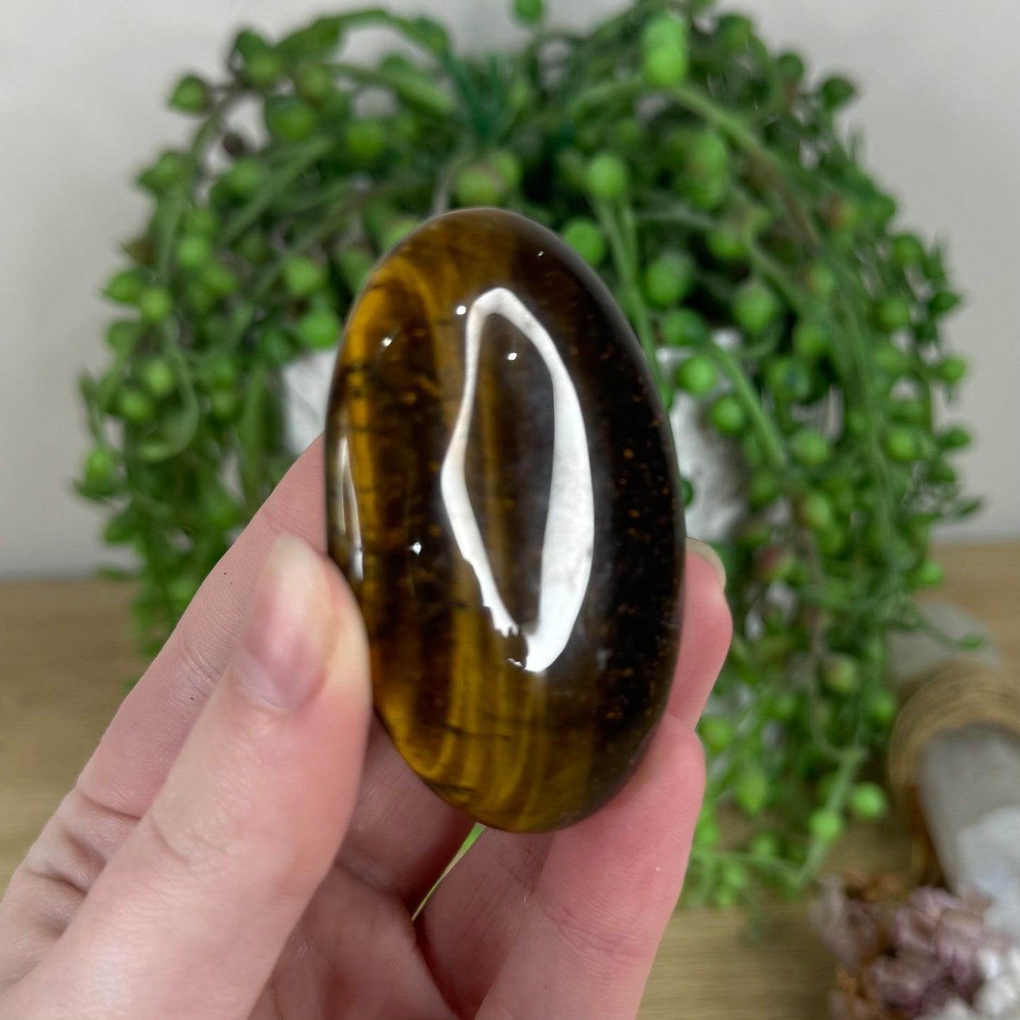 Tiger Eye Palm Stone (N499)