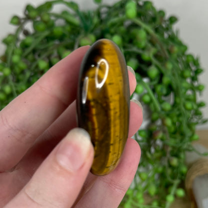 Tiger Eye Palm Stone (N499)