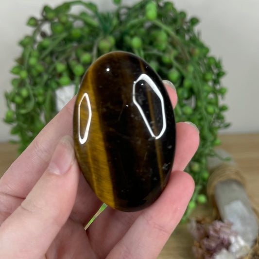 Tiger Eye Palm Stone (N498)