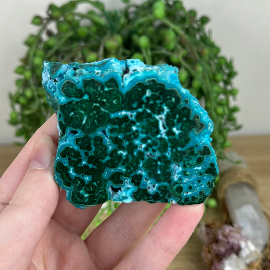 Malachite / Chrysocolla Slab (N519)