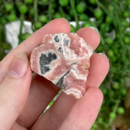 Rhodochrosite Slice (N542)