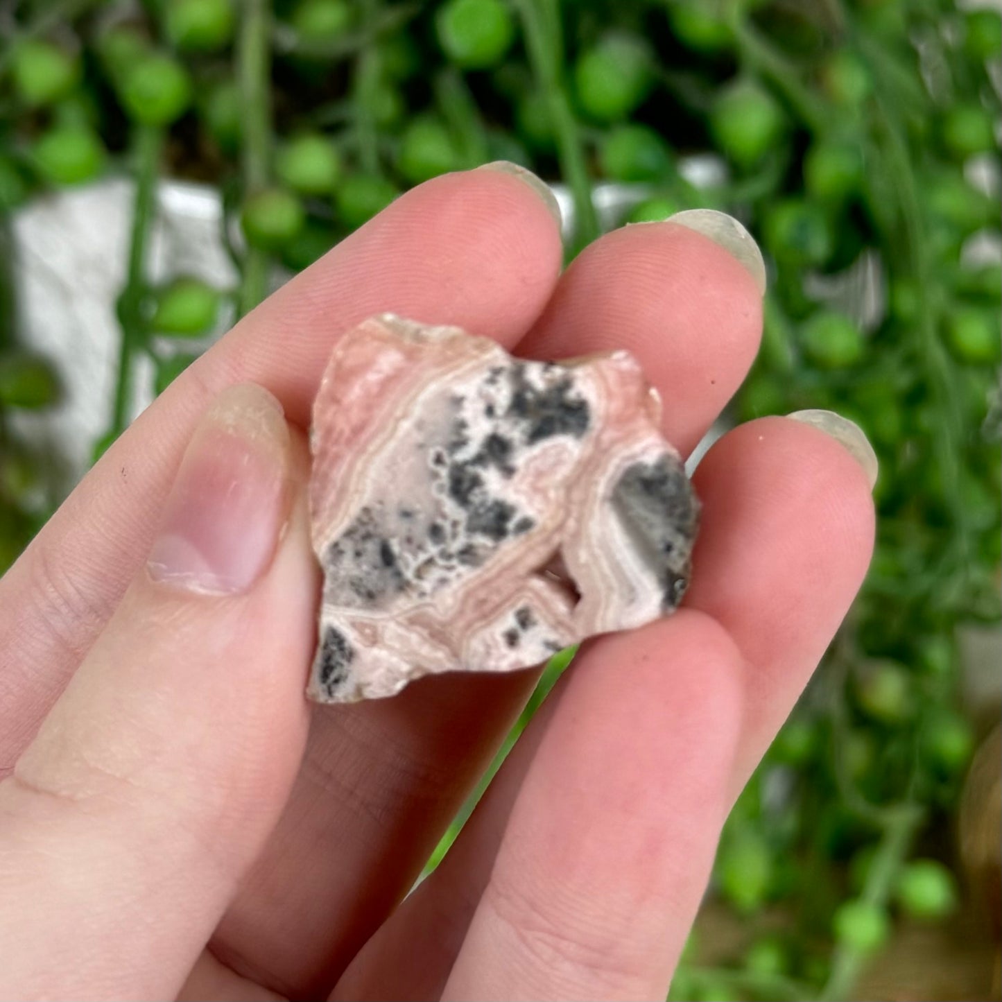 Rhodochrosite Slice (N541)