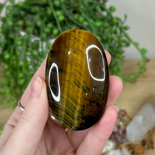 Tiger Eye Palm Stone (R509)