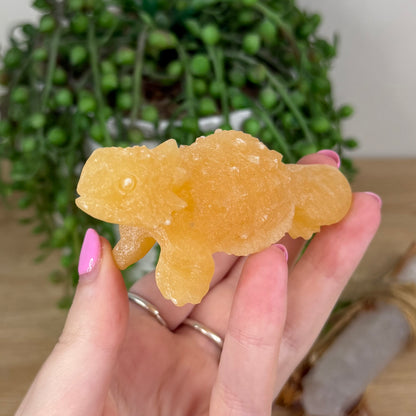 Yellow Calcite Bearded Dragon (X391)