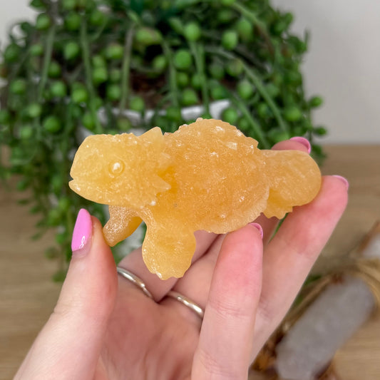 Yellow Calcite Bearded Dragon (X391)
