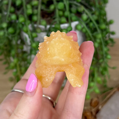Yellow Calcite Bearded Dragon (X391)
