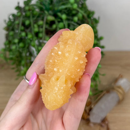 Yellow Calcite Bearded Dragon (X391)