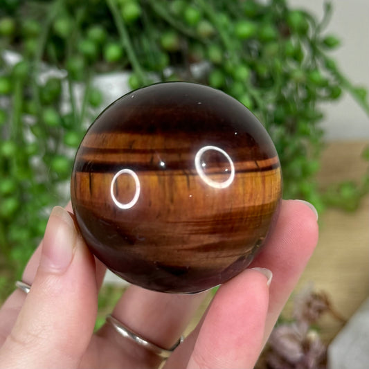 Red Tiger Eye Sphere (R298)
