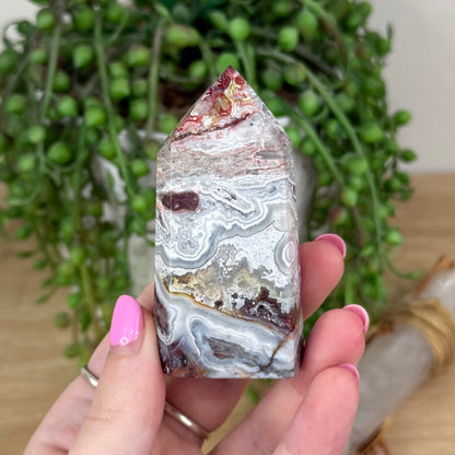 Mexican Crazy Lace Agate Point (X309)