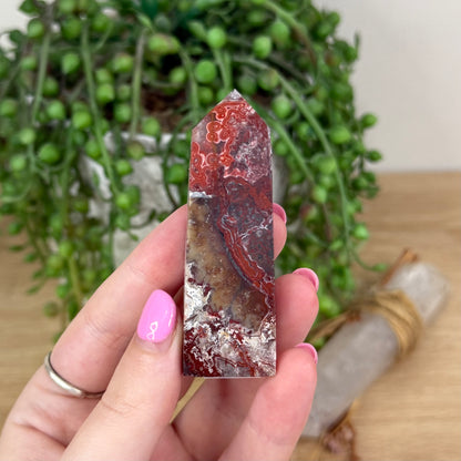 Mexican Crazy Lace Agate Point (X304)
