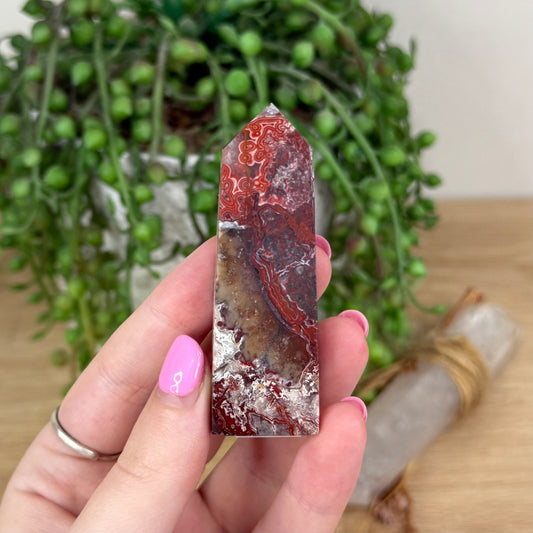 Mexican Crazy Lace Agate Point (X304)