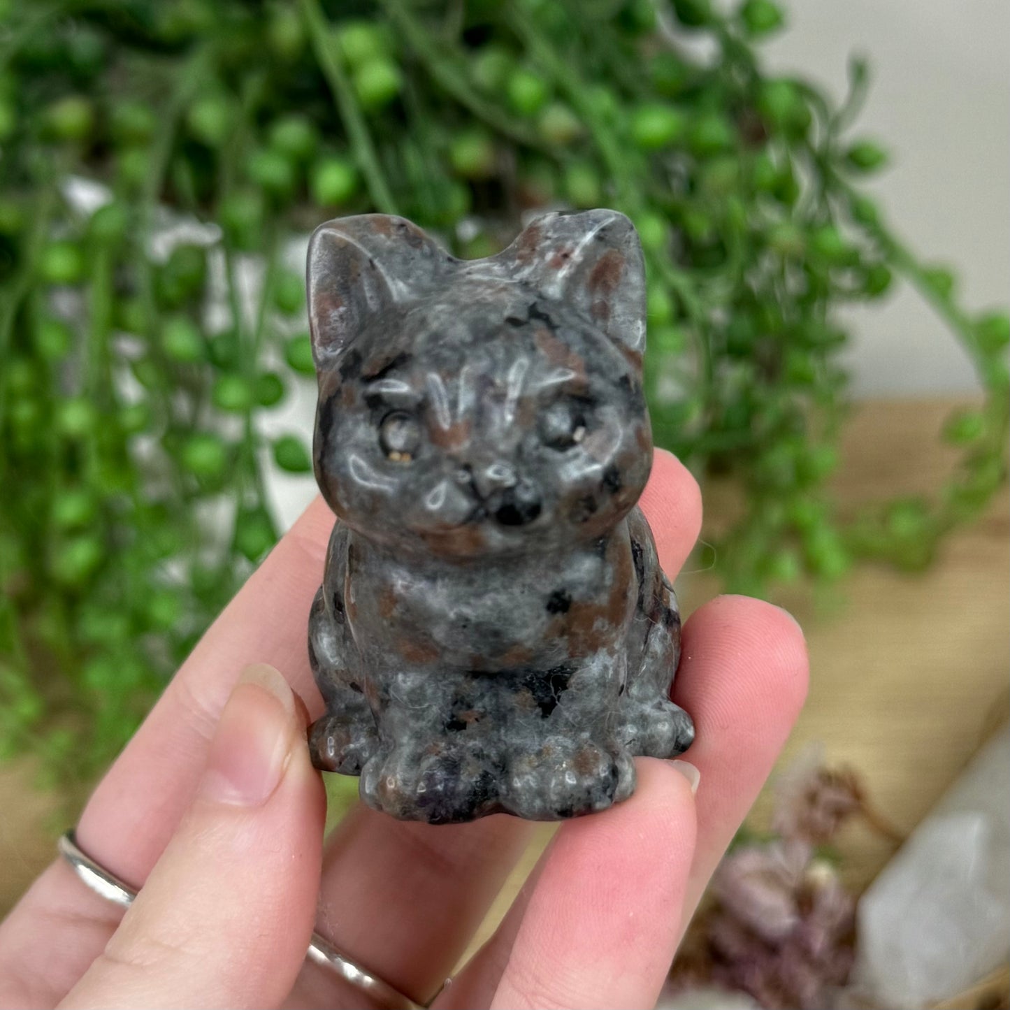 Yooperlite Cat (R295)