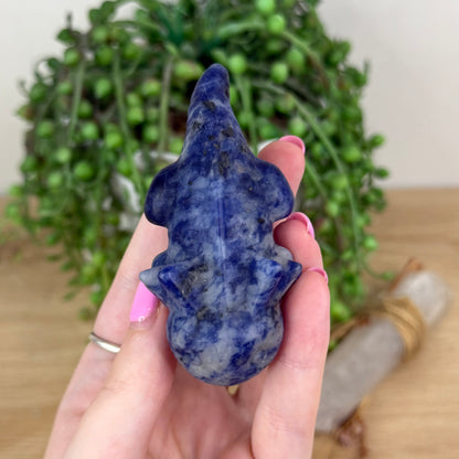 Sodalite Bearded Dragon (X387)