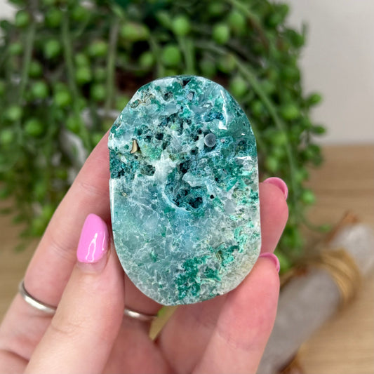 Phoenix Palm Stone (X333)