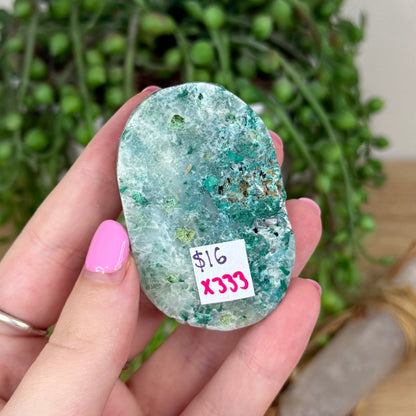Phoenix Palm Stone (X333)