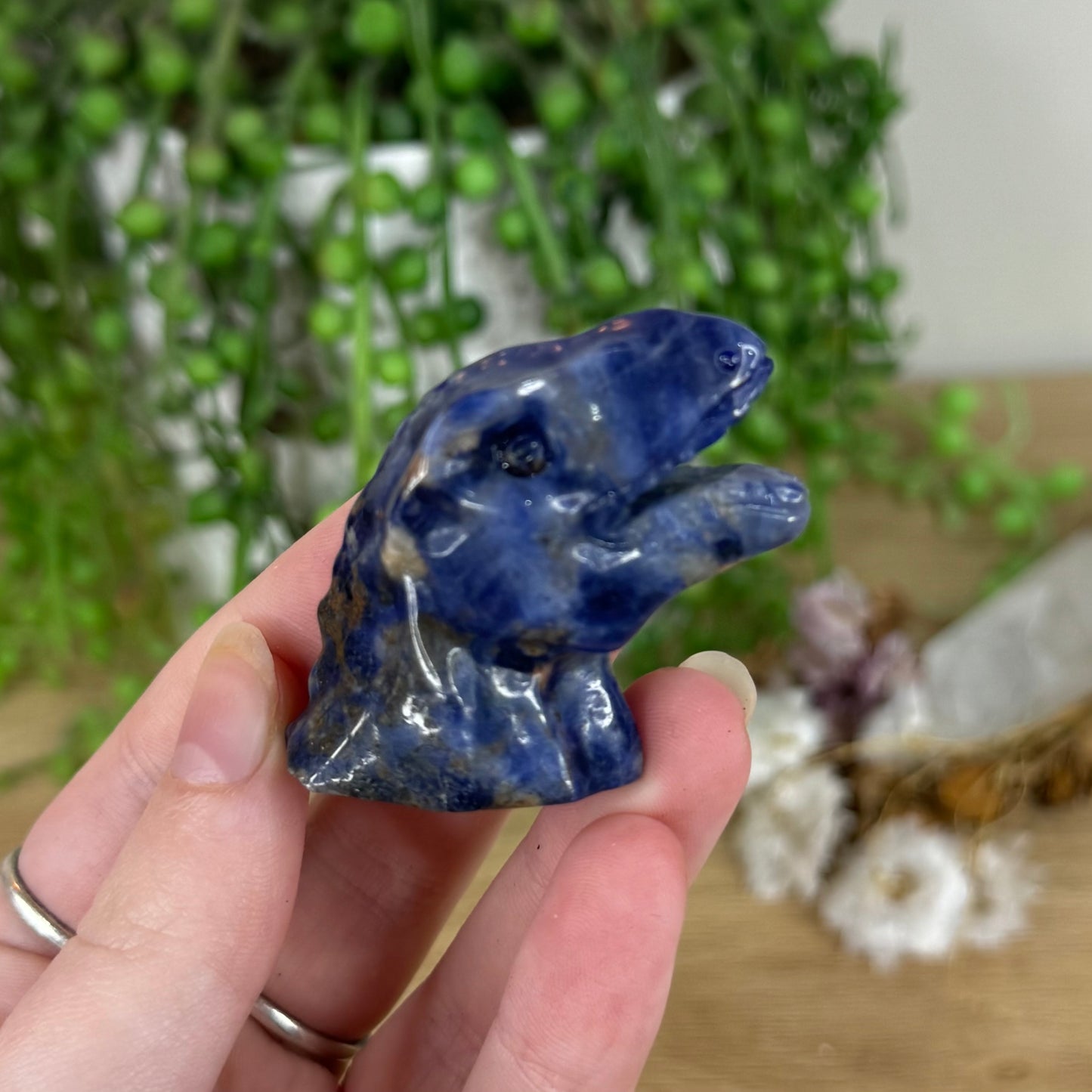 Sodalite Dinosaur Head (N642)