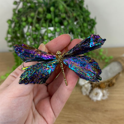 Aura Kyanite Dragonfly (N561)