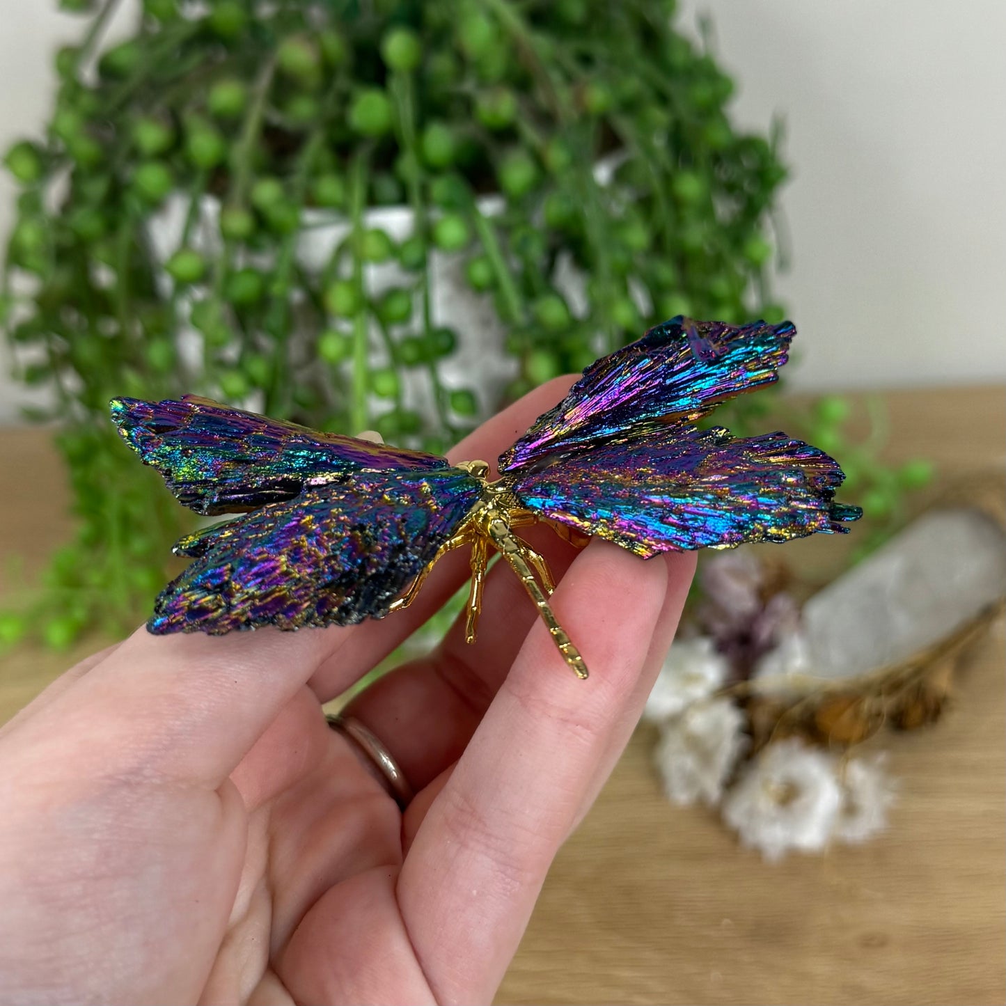 Aura Kyanite Dragonfly (N561)