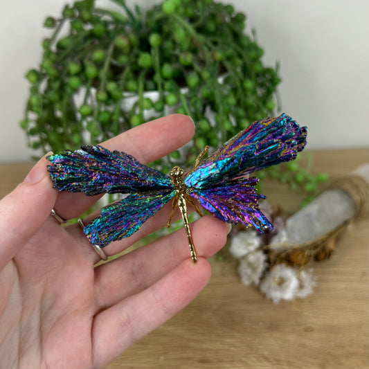 Aura Kyanite Dragonfly (N563)