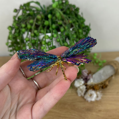 Aura Kyanite Dragonfly (N563)