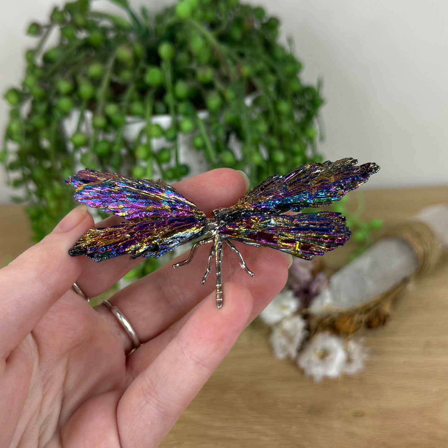 Aura Kyanite Dragonfly (N559)