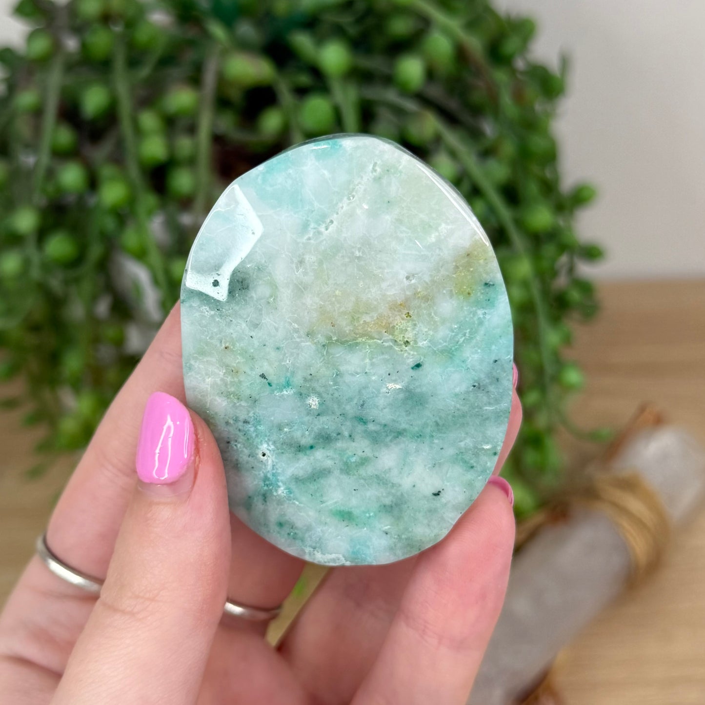Phoenix Palm Stone (X337)