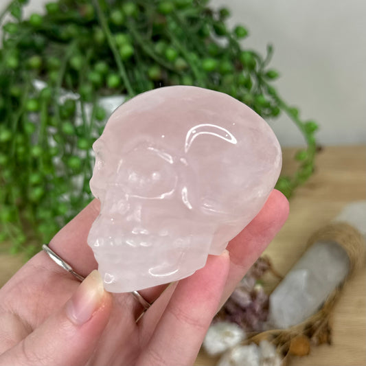 Rose Quartz Skull (R257)