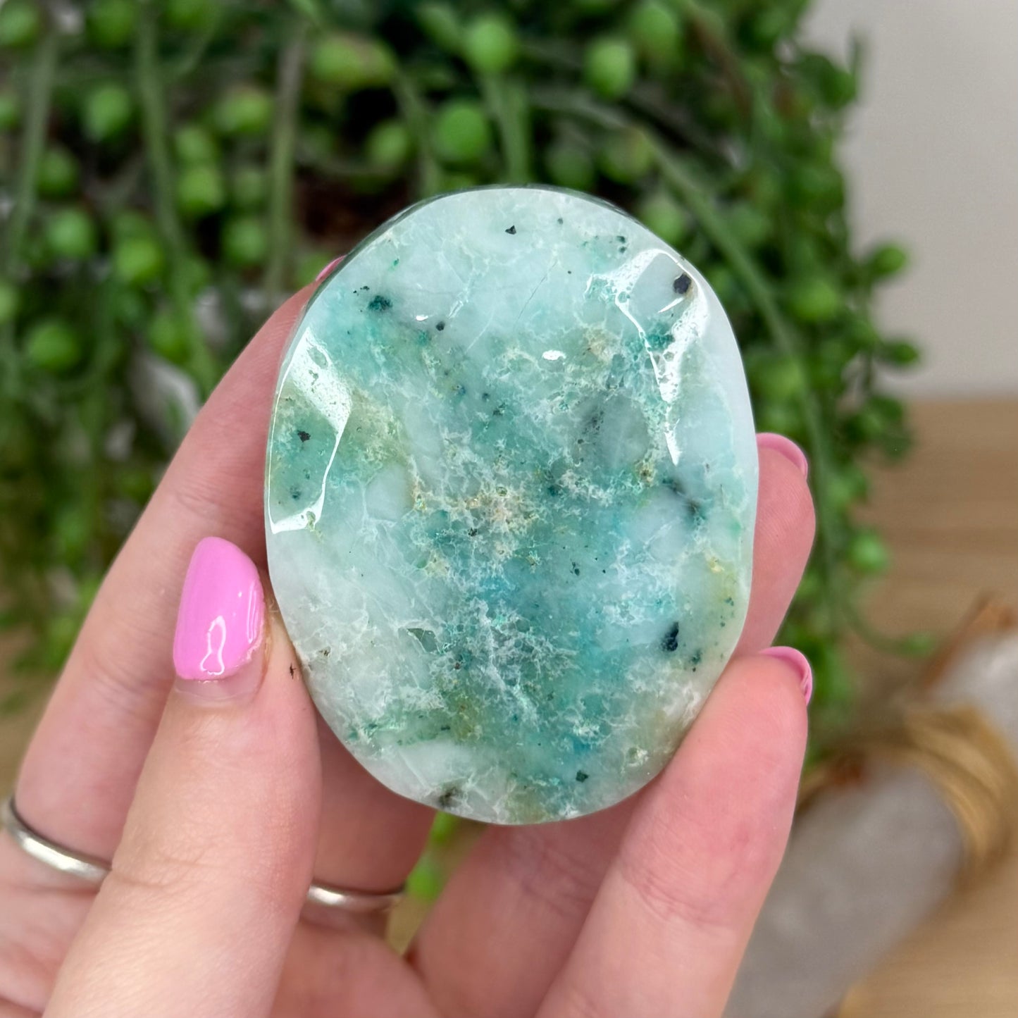 Phoenix Palm Stone (X346)