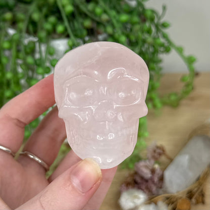 Rose Quartz Skull (R257)
