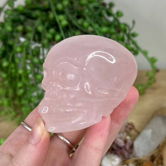 Rose Quartz Skull (R258)