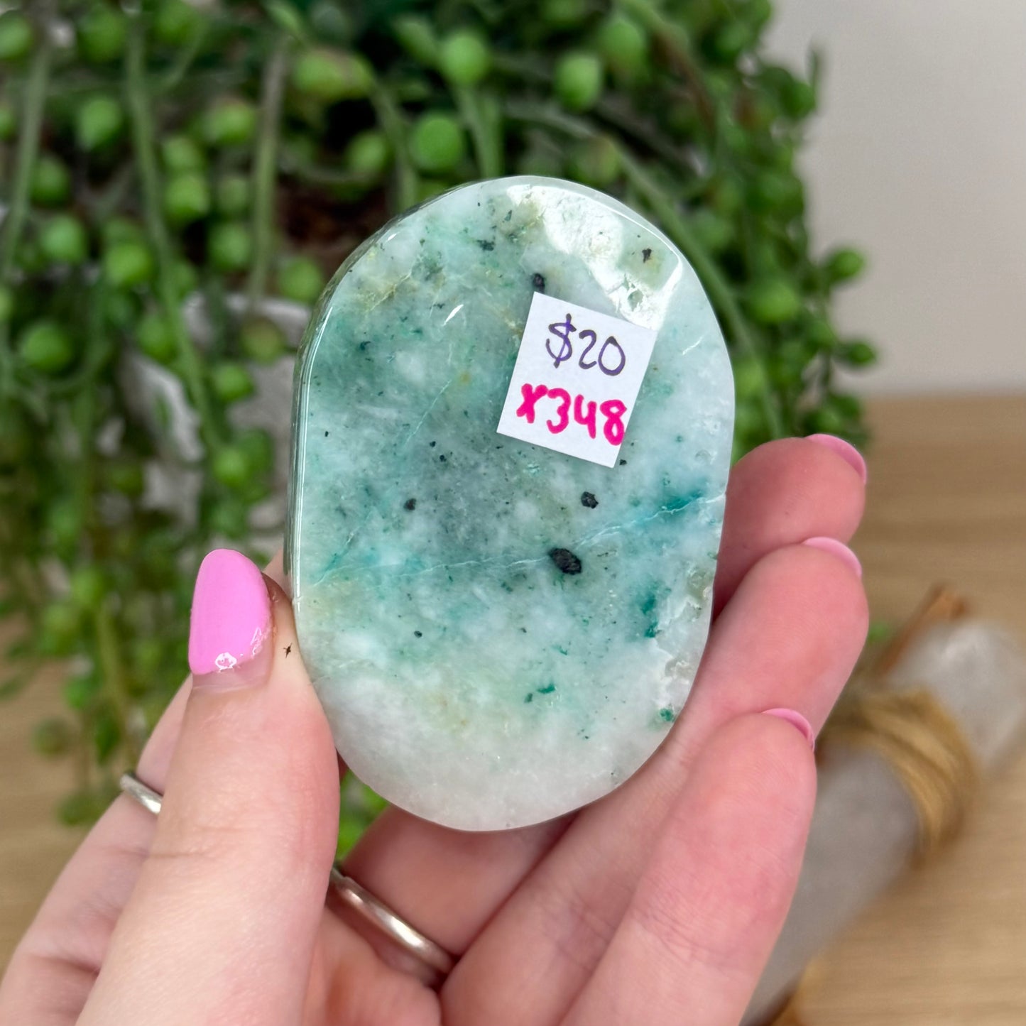 Phoenix Palm Stone (X348)