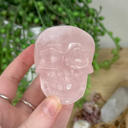 Rose Quartz Skull (R258)