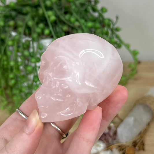 Rose Quartz Skull (R259)