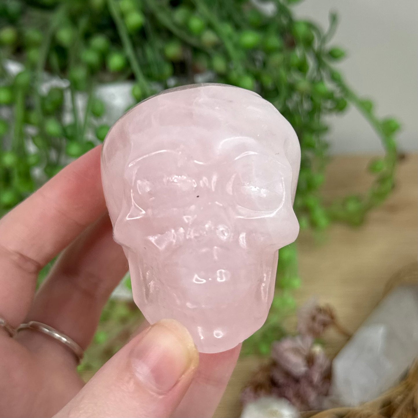 Rose Quartz Skull (R259)