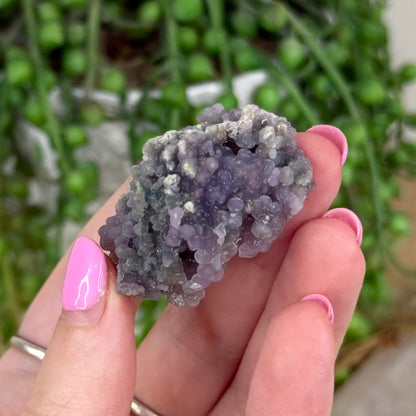 Grape Agate Cluster (X489)