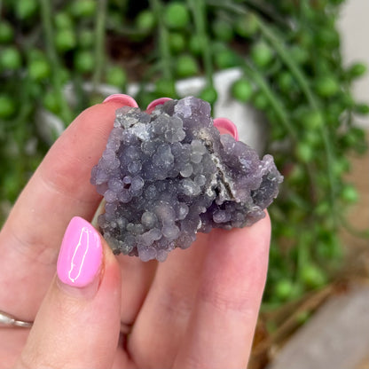 Grape Agate Cluster (X489)