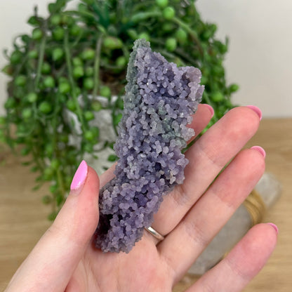 Grape Agate Cluster (X492)