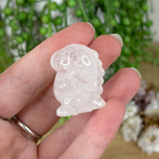 Clear Quartz Chubby Dino (N418) (N417)