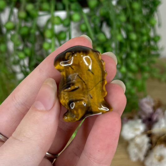 Tiger Eye Chubby Dino (N423)