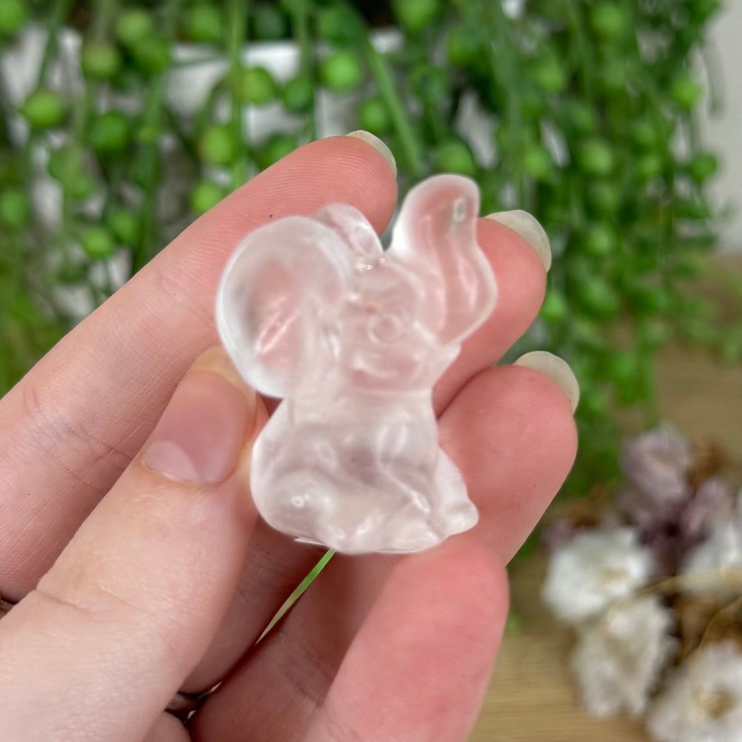 Clear Quartz Sitting Elephant (N111)