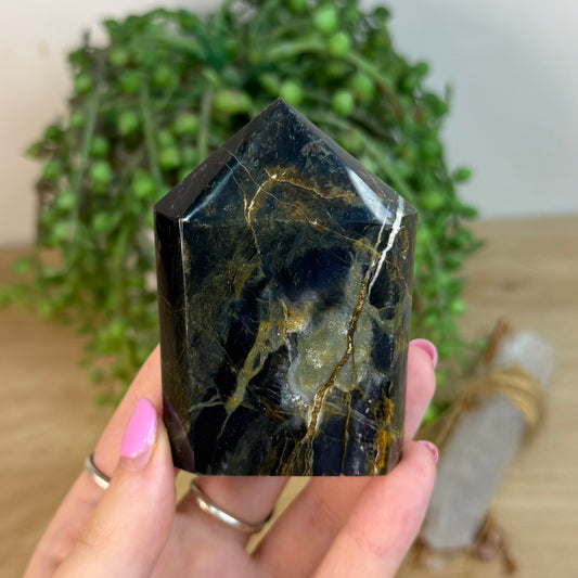 Pietersite Domino Point (X531)