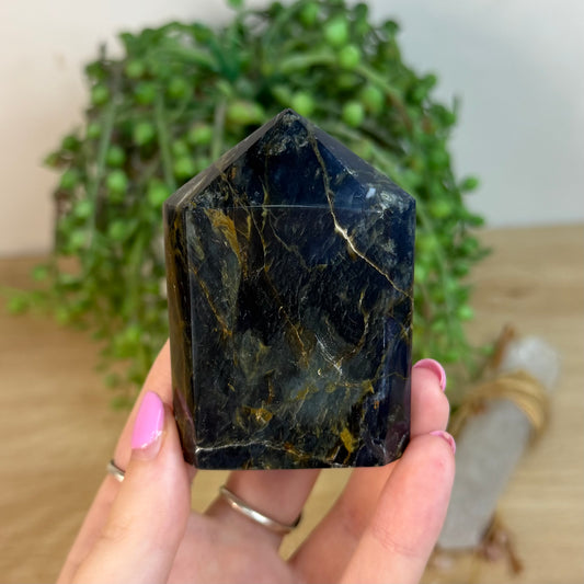 Pietersite Domino Point (X522)