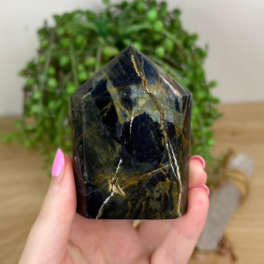 Pietersite Domino Point (X519)